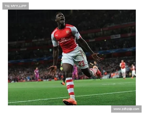 全面解读维尔贝克黑贝称号背后象征意义与球迷情感共鸣与球队期待