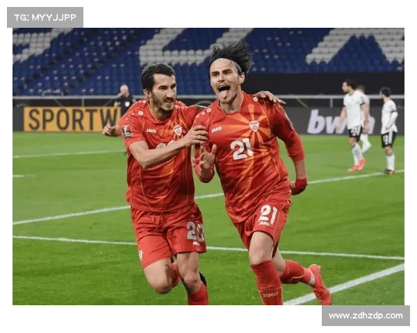 哈谢克赛后剖析捷克失利五大原因表达对球队未来的冷静思考